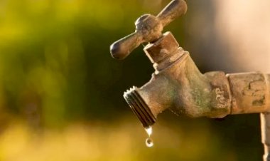 Desperdício | Mensagens e Reflexoes 008 - Dineu de Paula